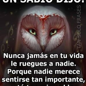 Meet your Posher, Rafael